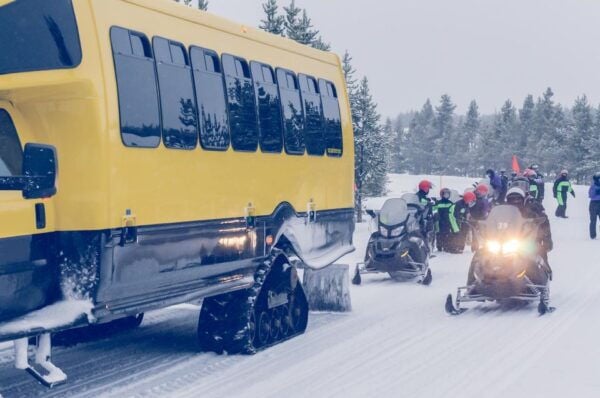 5-Day Winter Yellowstone Wildlife Tour - Common Questions