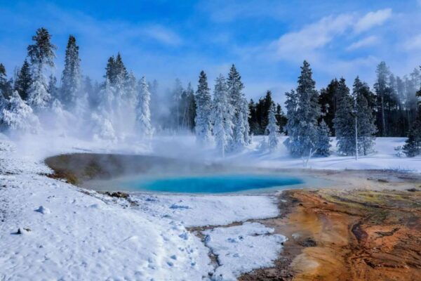 5-Day Winter Yellowstone Wildlife Tour - The Sum Up