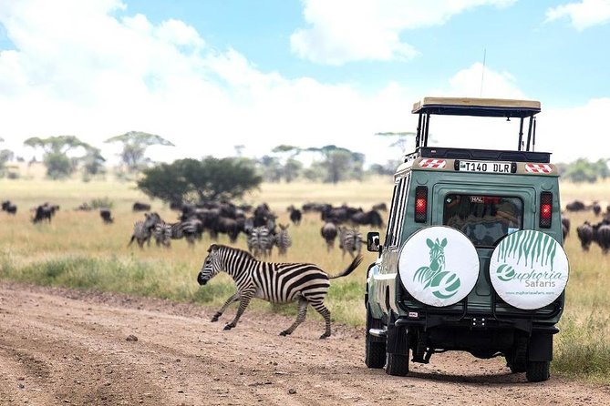 5 Days 4 Nights Exclusive Luxury Tanzania Safari - Luxury Accommodations Overview