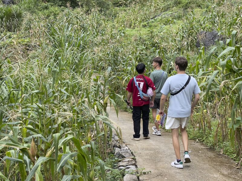 5 Days 4 Nights Ha Giang Loop Heritage Tour With Easy Rider - The hiking question, and who should book