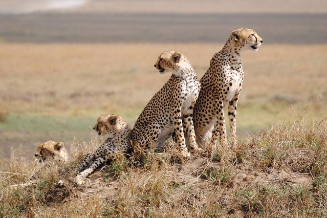 5 Days / 4 Nights Join Group Safari - What To Expect and Additional Info