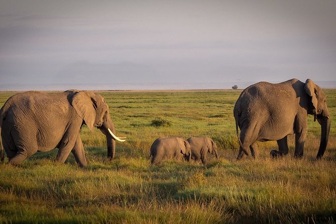 5 Days/4 Nights Kenya Safari - Frequently Asked Questions