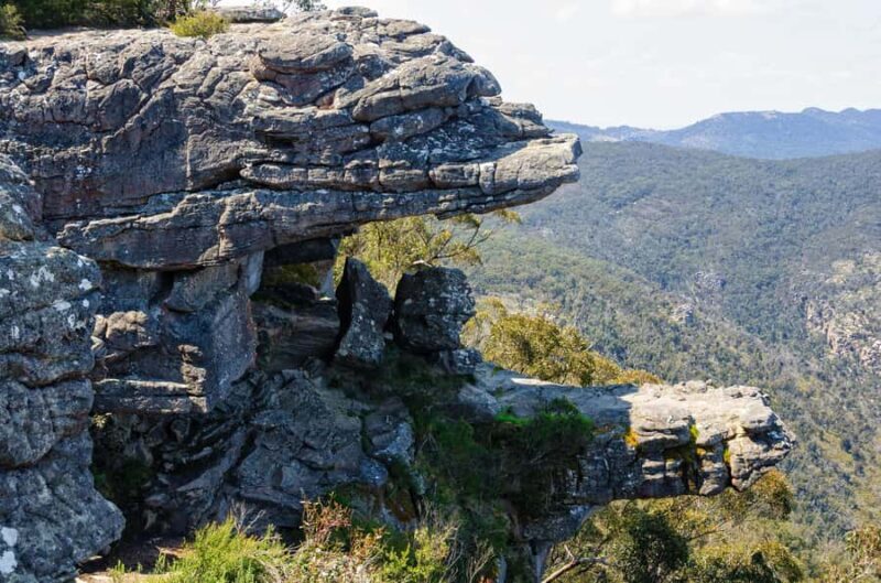 5 Days 4 Nights: Melbourne Package tour - Practical Tips for Travelers