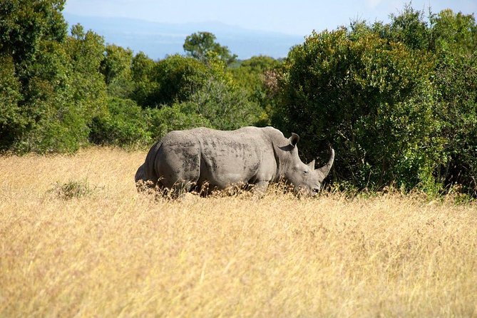 5 Days 4 Nights Mt Kenya, Aberdares, Ol Pejeta Safari - Cancellation Policy