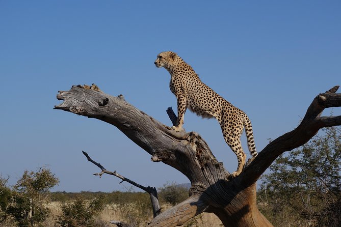 5 Days 4 Nights Nakuru, Naivasha, Masai Mara Budget Safari - Important Booking Information