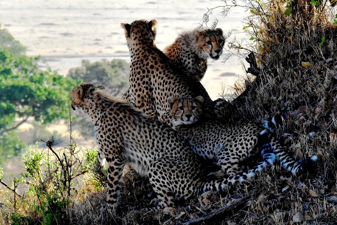 5 Days 4 Nights Nakuru, Naivasha, Masai Mara Budget Safari - Accessibility and Safety Information