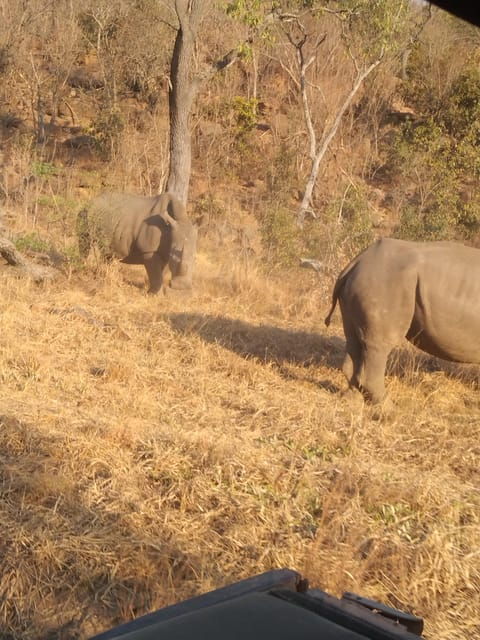 5 Days 4 Nights Safari Tour In Madikwe And Pilanersbeg - What’s Included and What’s Not