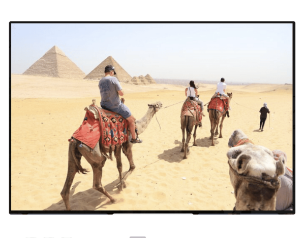 5 Days 4 Nights Visit Cairo, Luxor and Aswan - Booking Options