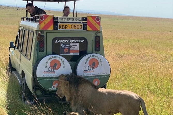 5 Days Aberdare Lake Nakuru and Masai Mara Safari From Nairobi - Accommodation Details