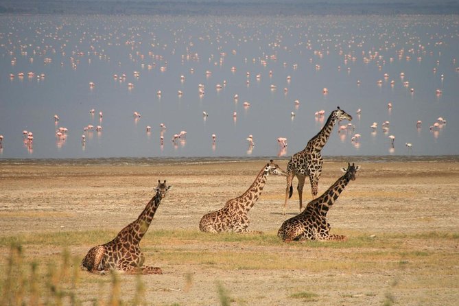 5 Days Aberdares Lake Nakuru & Masai Mara Wildlife Safari - Frequently Asked Questions