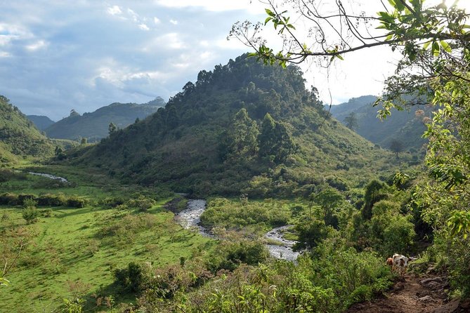 5 Days Aberdares, Ol Pejeta & Samburu Luxury Safari on 4x4 Jeep - Pricing and Cancellation Policy