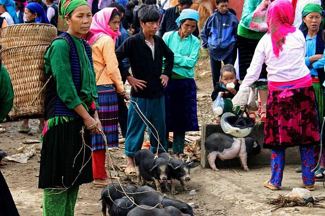 5 Days - Adventure Ha Giang - Ban Gioc Waterfall From Hanoi - Meeting and Pickup