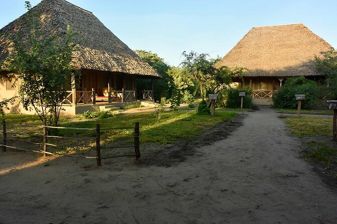 5 Days Adventure to Selous and Mikumi Park - The Sum Up