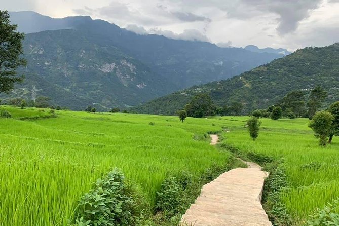 5 Days Amazing Mohare Danda Trek From Pokhara - Day 3: Reach the Stunning Mohare Danda Viewpoint