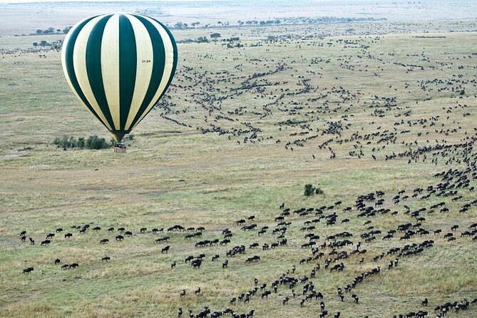 5 Days Amboseli and Masai Mara Flying Luxury Safari - Good To Know