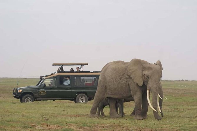 5 Days Amboseli and Masai Mara Flying Luxury Safari - Accommodation Details