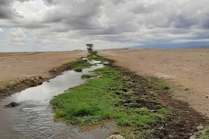 5 Days Amboseli and Masai Mara Flying Luxury Safari - Pickup Information