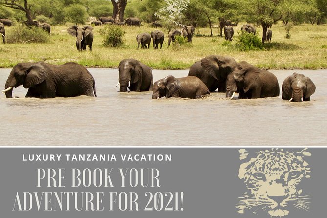 5 Days Amplified Luxury Safari in Tanzania 2021 - The Sum Up