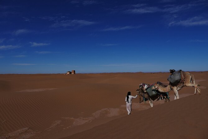 5 Days and 4 Nights Fascinating Morocco Desert Tour - Dining and Meals
