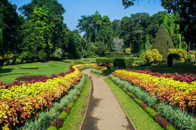 5 Days and 4 Nights Private Tour in Kandy Bentota and Colombo - Good To Know