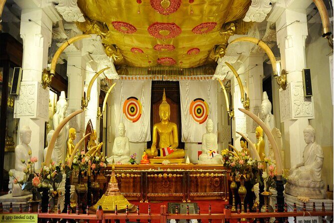 5 Days and 4 Nights Private Tour in Kandy Bentota and Colombo - Practical Insights and Considerations