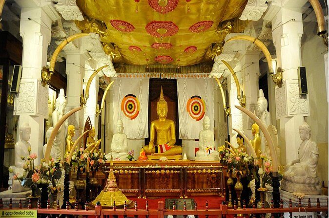 5 Days and 4 Nights Private Tour in Kandy Bentota and Colombo - Who Would Love This Tour?