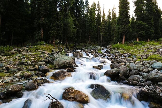 5 Days and 4 Nights Private Tour of Kashmir - Itinerary Details