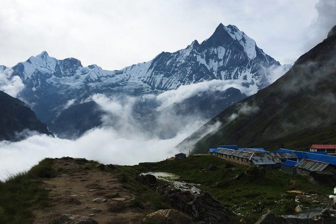 5 Days Annapurna Base Camp Trek From Pokhara - Itinerary Highlights