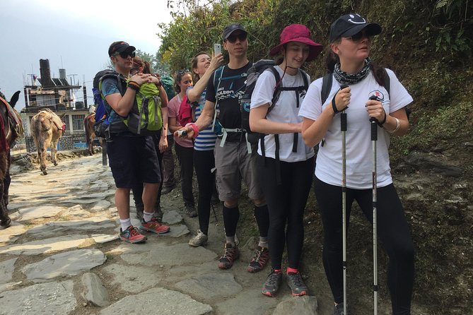 5 Days Annapurna Mountain View Trekking From Pokhara, Nepal - Inclusions and Logistics