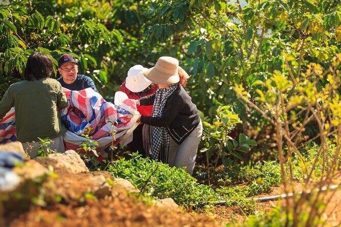 5 Days Authentic Dalat Coffee Farm & Hiking Experience - Good To Know