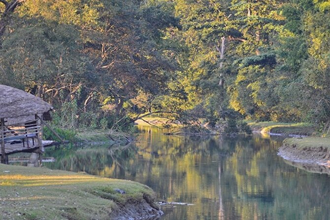 5 Days Bardia National Park Tour With Palpa Overnight Stay - Day 1: Arrival and Exploration of Bardia National Park