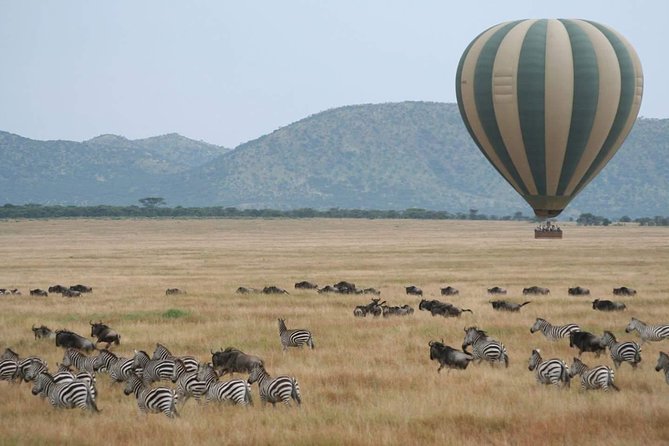 5 Days Best Of Kenya Safari - Exciting Activities and Experiences