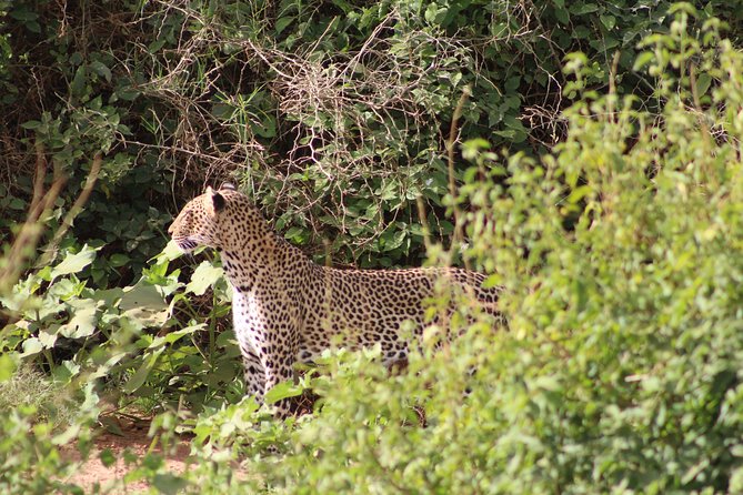 5 Days Best Of Kenya Safari - Frequently Asked Questions