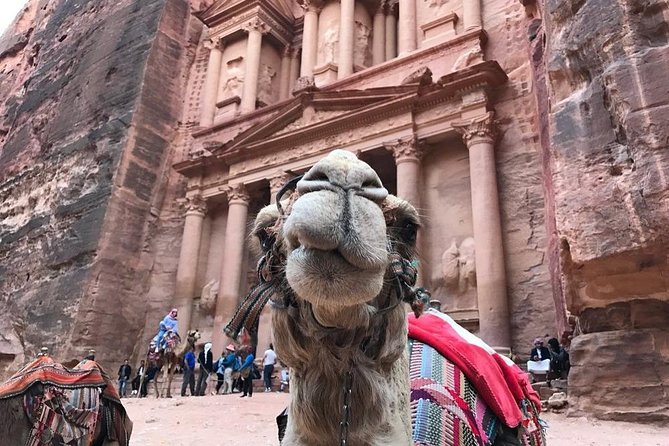 5 Days Best of Southern Jordan Tour From Aqaba Airport - Price and Booking Information