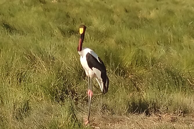 5 Days Bird Watching Safari. - Booking Confirmation