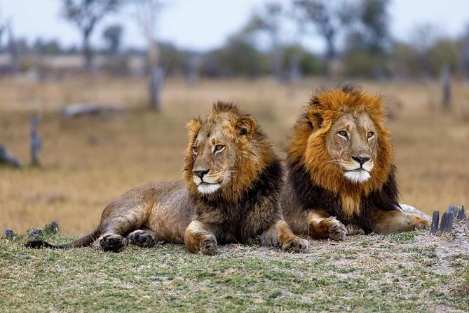 5 Days Budget Mid Range Safari Tour Tanzania - Meeting and Pickup Details