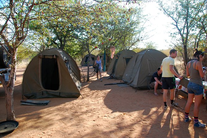 5-Days Camping Safari With Serengeti, Ngorongoro, Lake Manyara & Tarangire N.P - The Sum Up
