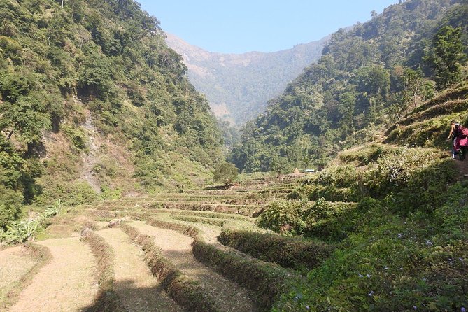 5 Days Chepang Hill Trek From Kathmandu - Day 2: Hattibang to Jyandala