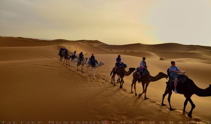 (5 Days) Combined Atlas Mountains & Valley and Sahara Deser - Overview of the 5-Day Tour