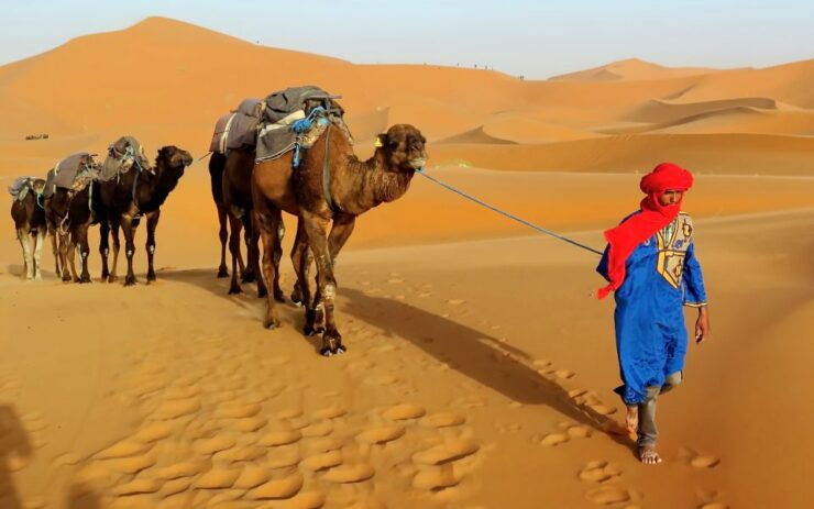 (5 Days) Combined Atlas Mountains & Valley and Sahara Deser - Cultural Experiences and Engagements