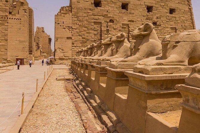 5 Days Cruise Luxor, Aswan,Tours,Abu Simbel,Hot Air Balloon, From Cairo By Plane - Price and Booking