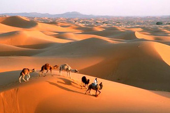5 Days ( Desert Sahara Tour and Mount Toubkal Trek From Marrakech ) - Good To Know