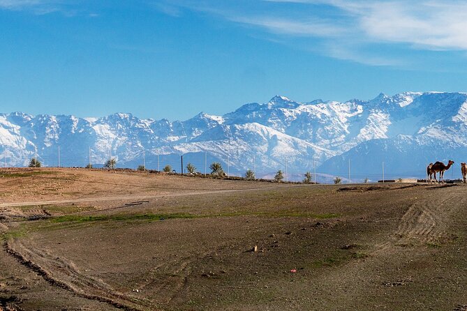 5 Days Desert & Toubkal Trek - Travel Logistics