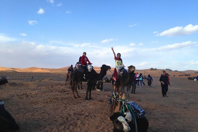 5 Days Desert Tour With Overnight Stay From Marrakech - Pricing, Reviews, and Additional Details
