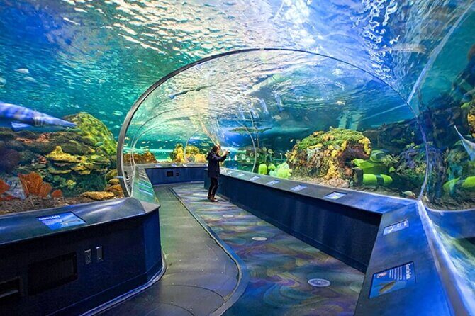 5 Days Eastern Canada Tour from Toronto - The Sum Up: Who Is This Tour Best For?