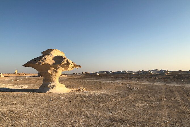 5 Days Egypt Oasis Private Adventure Package - Day 4: Oasis Adventure