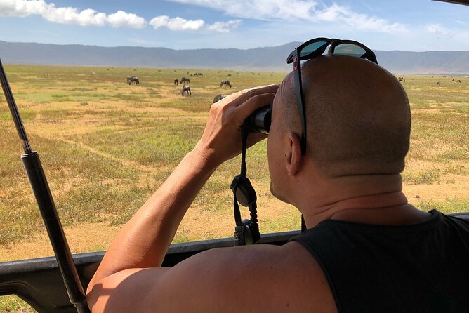 5 Days Elephant Safari Experience - What To Expect