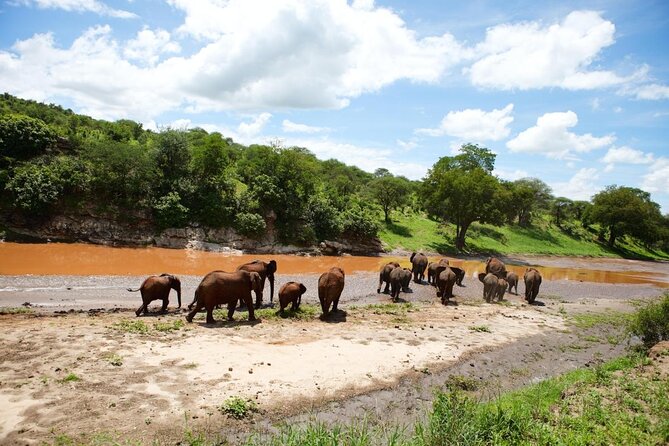 5 Days Elephant Safari Experience - Accommodation and Meals