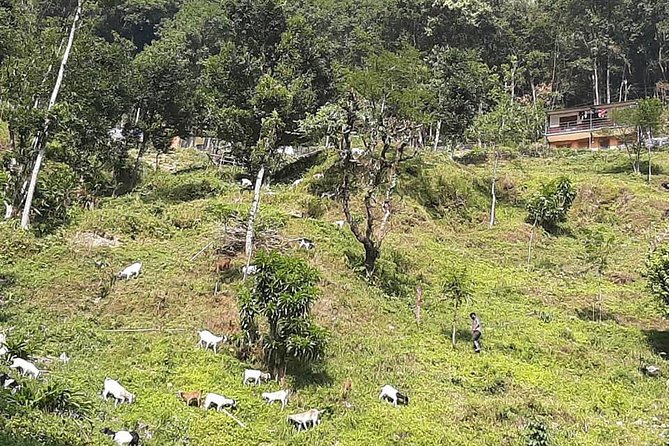 5 Days Exclusive Exposure To Learn Ancient Rural Farming Near Pokhara Valley - Common Questions