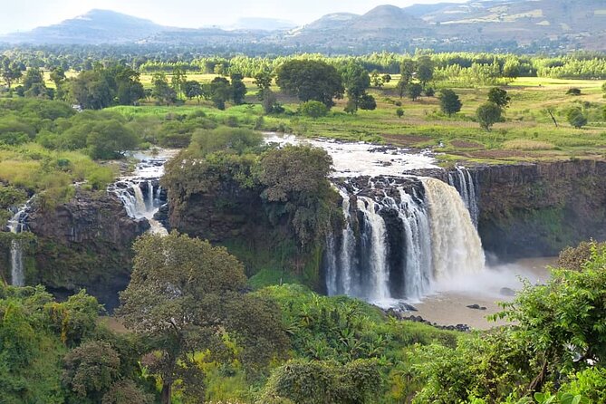 5 Days Exploring North Ethiopias Rich History and Culture - Day 2: Blue Nile Falls and Lake Tana